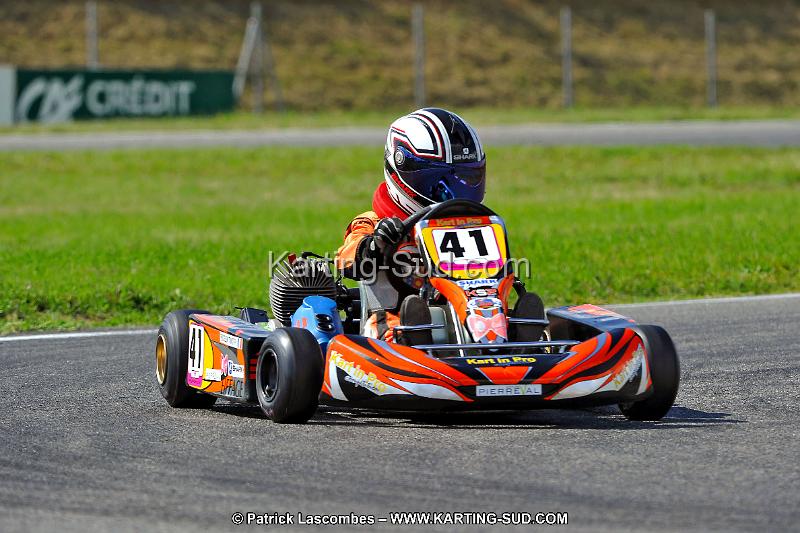 DSC_ (696).jpg